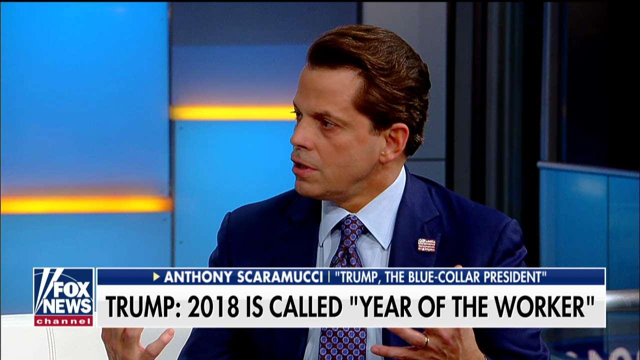 Scaramucci: Trump Is Offering 'Common Sense' Strategies Heading Into 2019