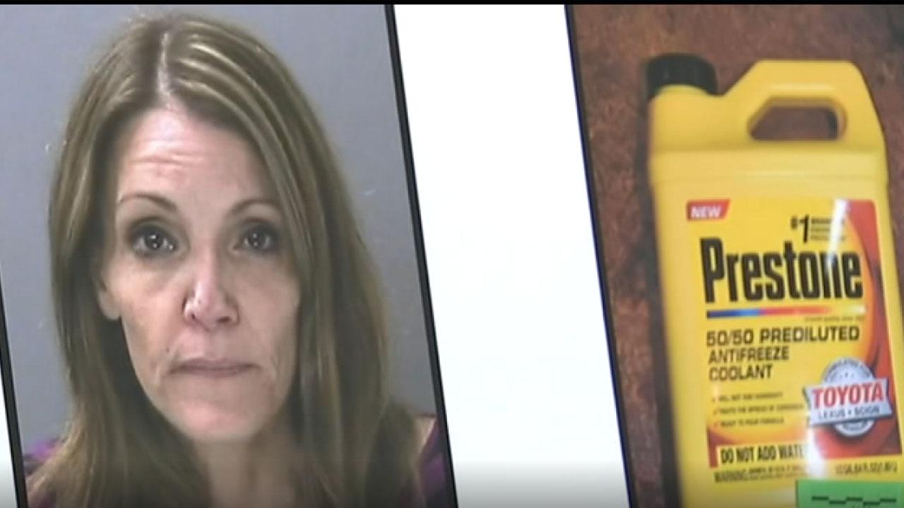 Long Island Mother Caught On Camera Trying To Poison Her Estranged Husband With Antifreeze Fox 