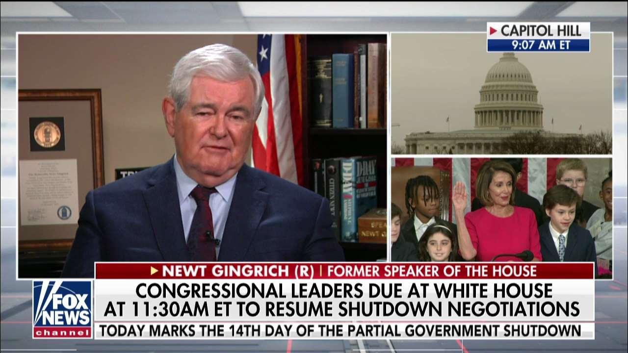Gingrich: Pelosi 'Sort of a Moderate' by the Standard of More Radical, Left-Wing Democrats