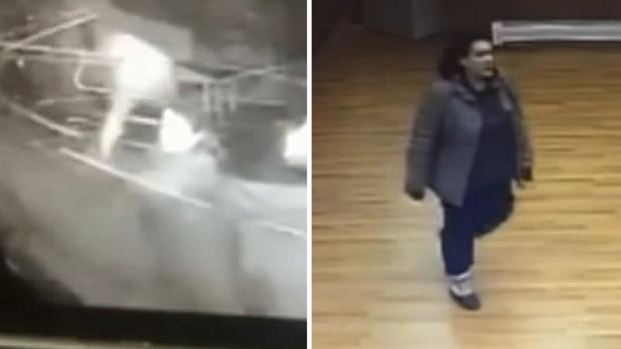 Surveillance cameras capture woman smash her way into police station