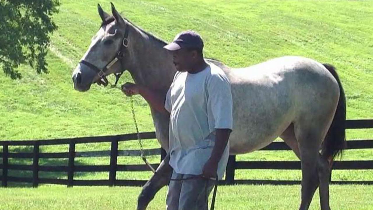The Man O' War Project offers equine-assisted therapy to help veterans with PTSD
