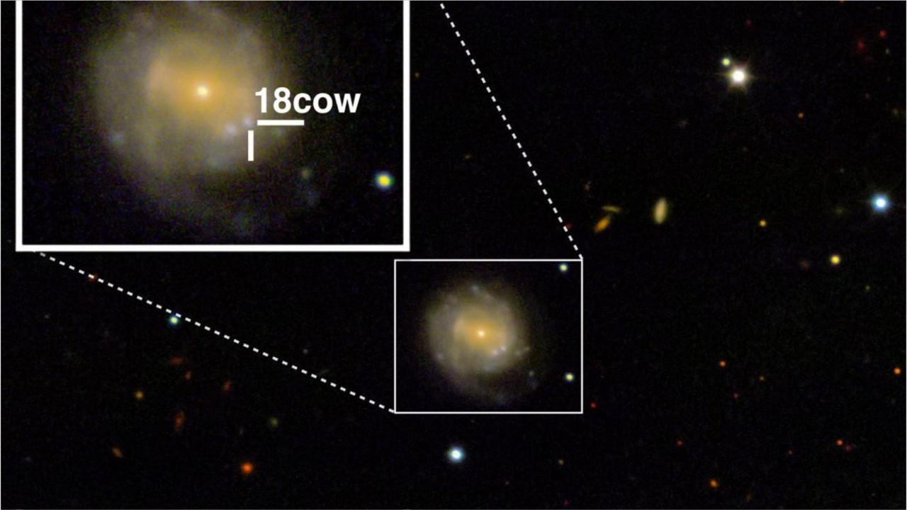Exploding 'cow' seen in space might be first black hole birth ever seen