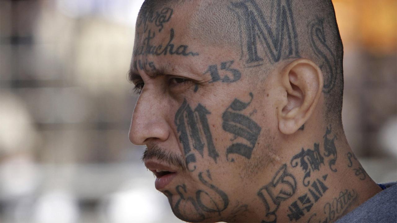 Is an immigration loophole allowing MS-13 gang members to go free?