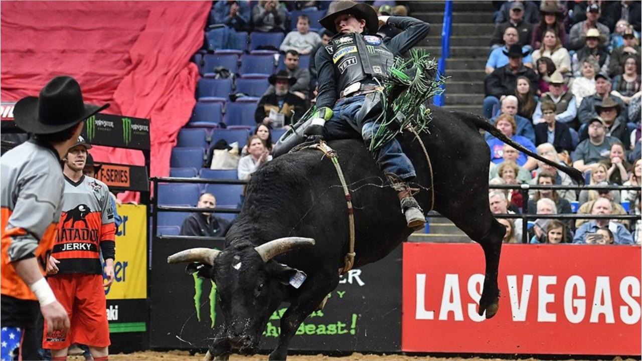 Professional bull rider, 25, dies after being injured at Colorado event