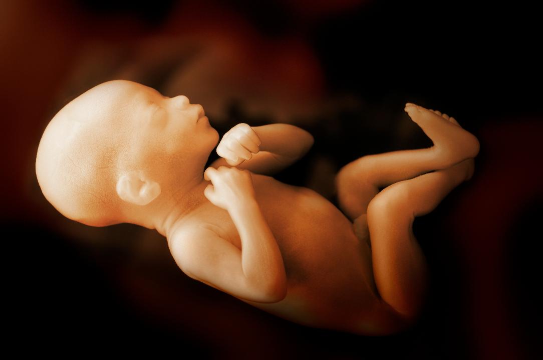 New York 'celebrates' legalizing abortion until birth