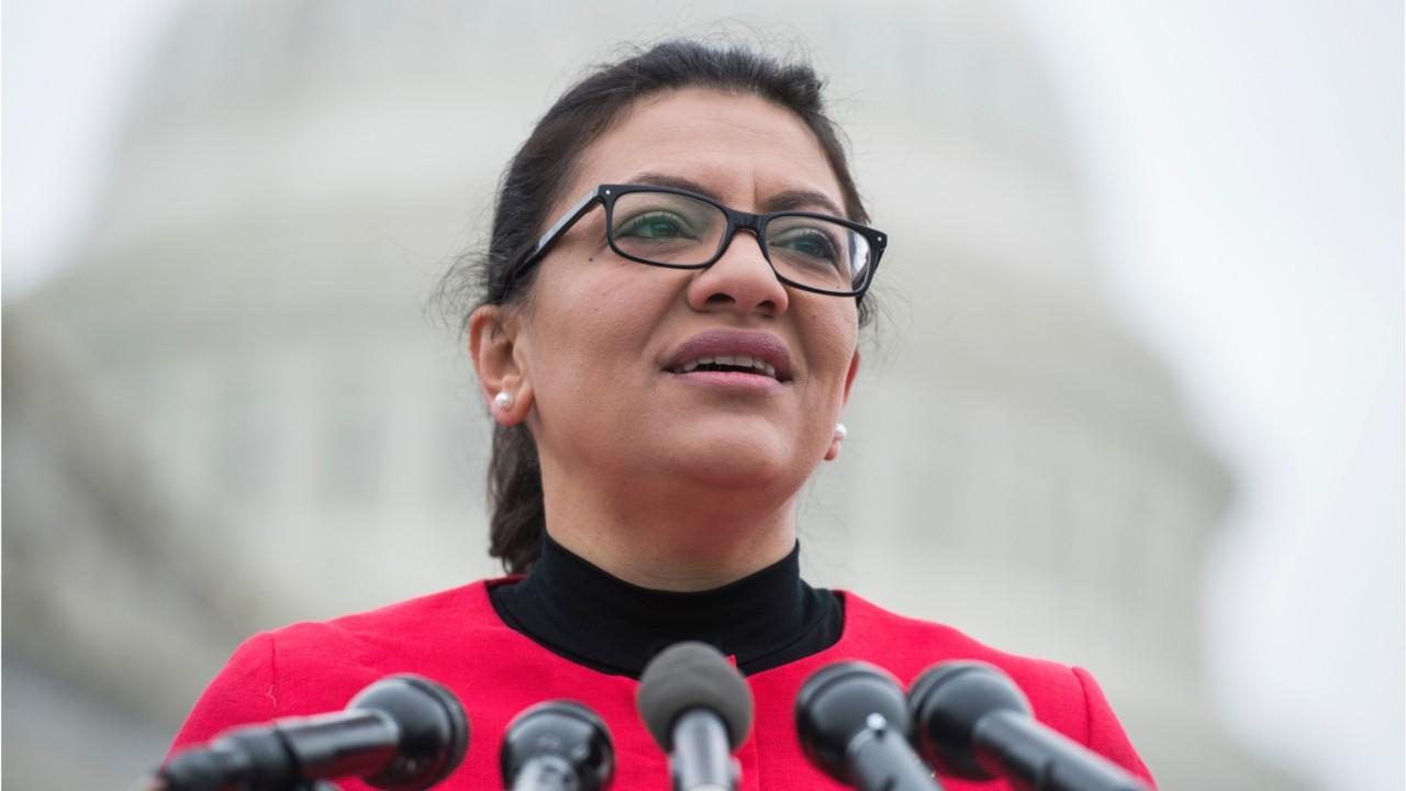 Rashida Tlaib once complained sister was on no-fly list – now that she’s in Congress, details on status are scarce
