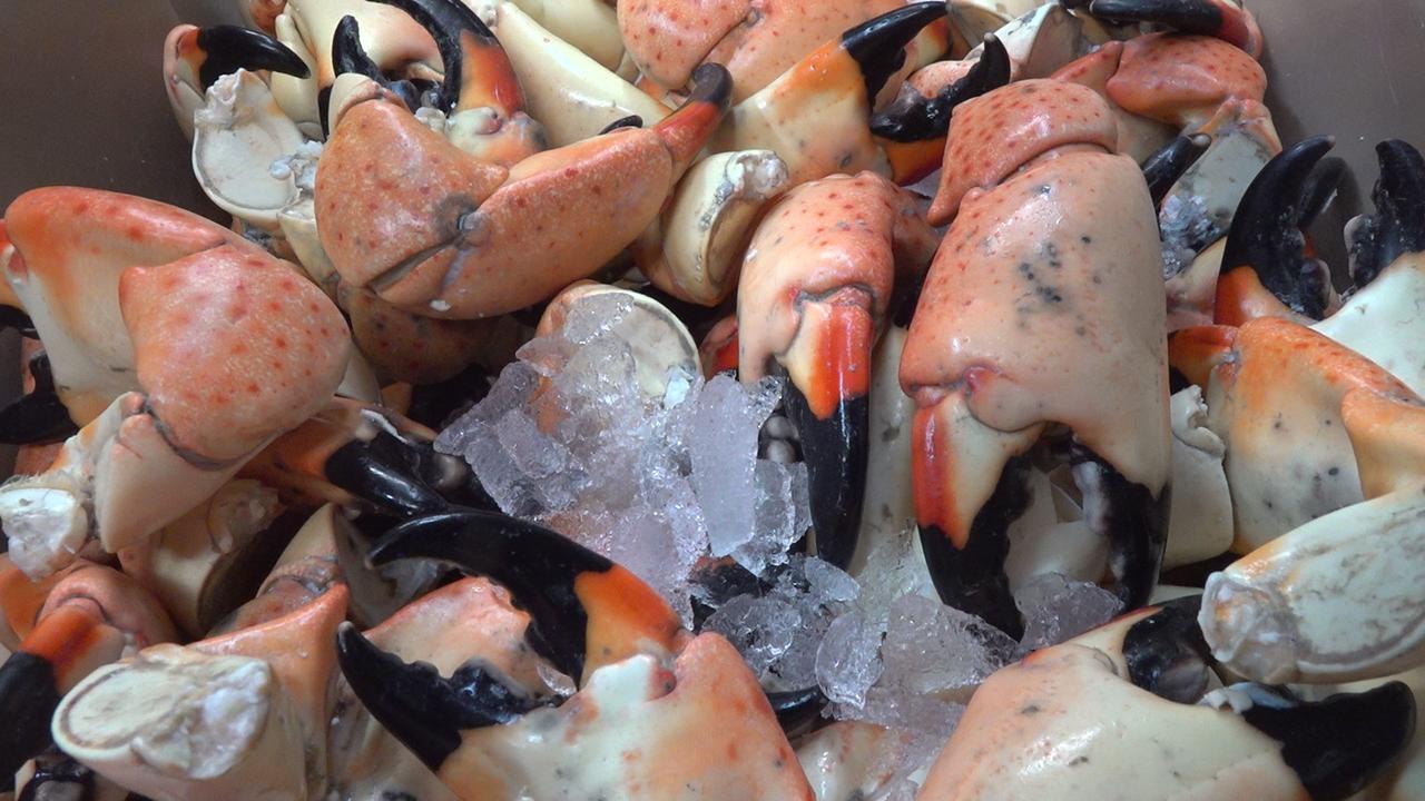 Red tide hurting Florida stone crab fisherman