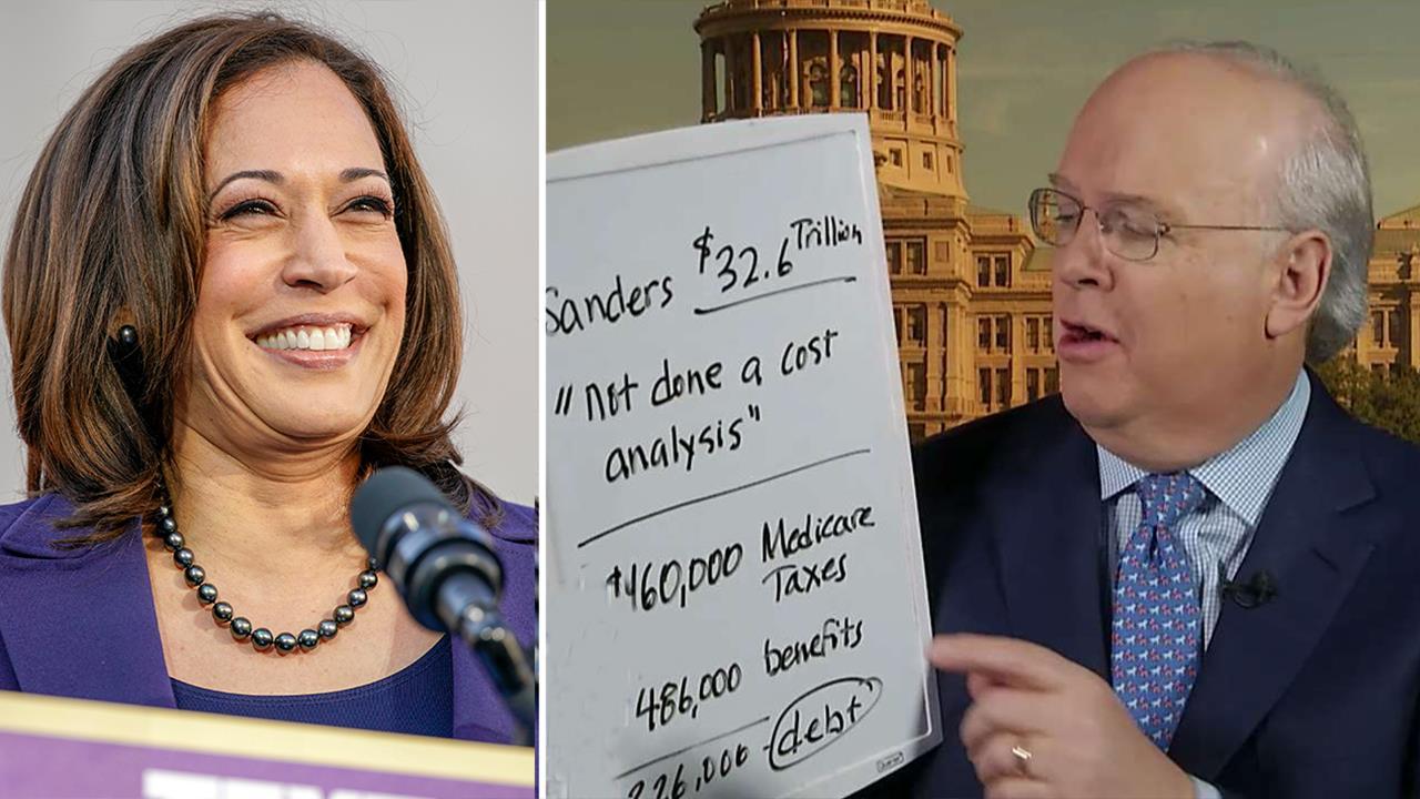 Karl Rove says Kamala Harris' big government proposals lack cost analysis