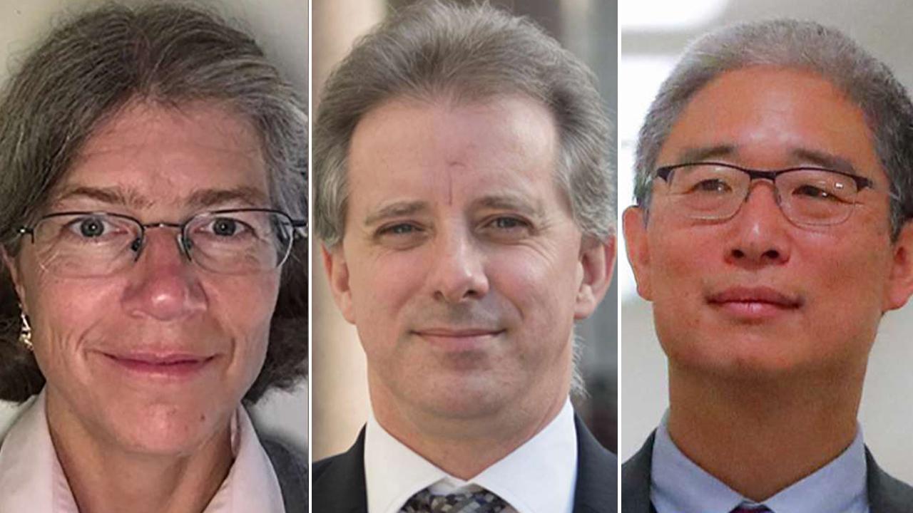 Source: Nellie Ohr conducted opposition research on Melania Trump, Trump's children