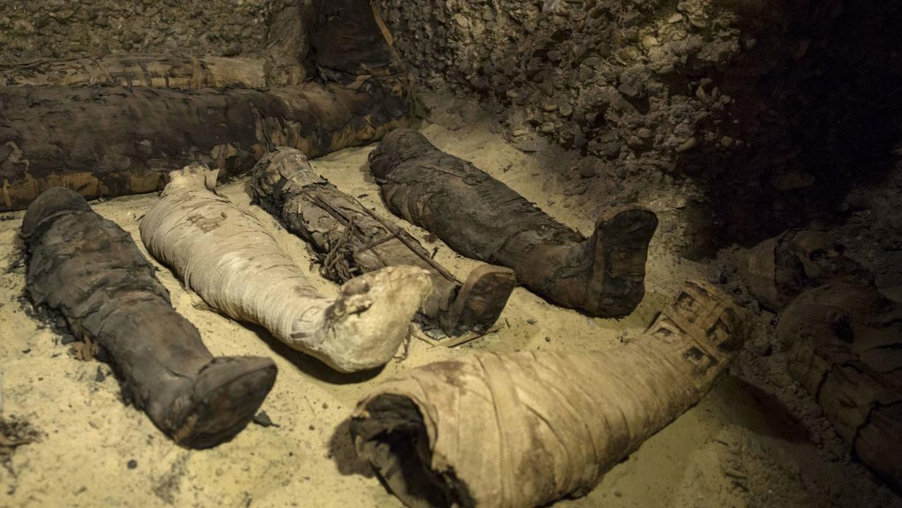 Dozens of human mummies found in Egyptian tombs