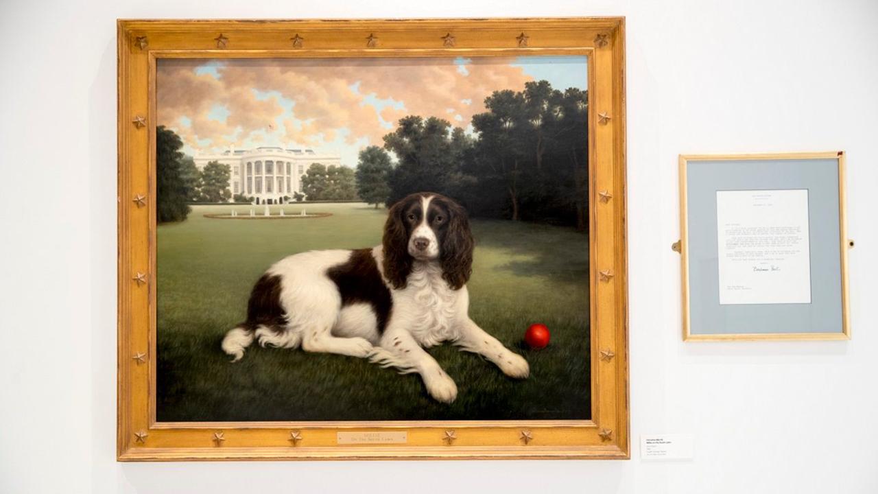 American Kennel Club reopens the Museum of the Dog