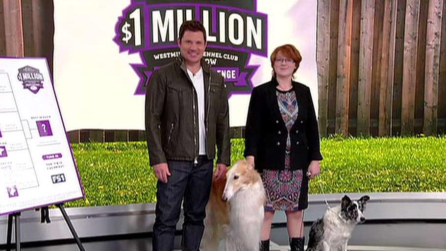 Purina Pro Plan hosts the $1 million Westminster Kennel Club Dog Show bracket challenge