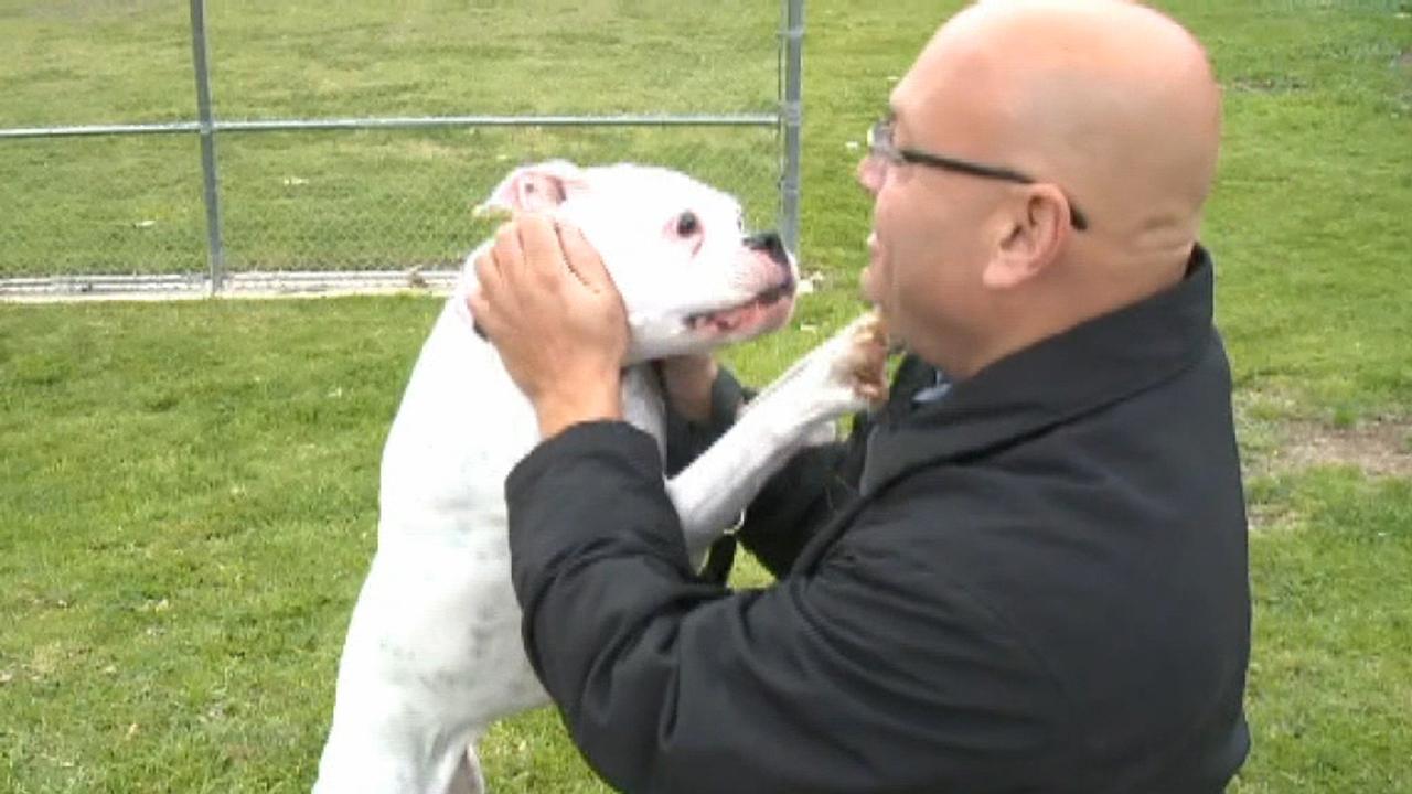 Dog saves man having heart attack