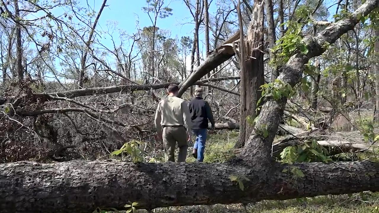 Hurricane Michael Recovery: Timber industry hit hard