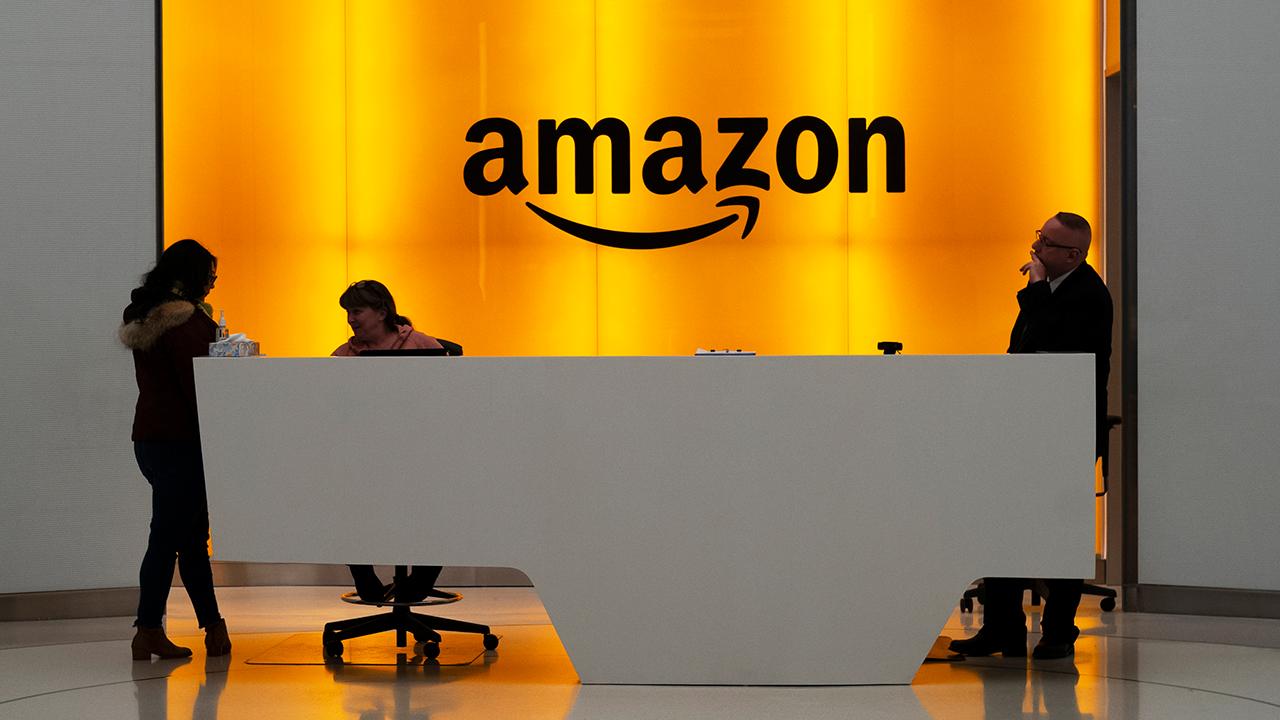 Big Tech backlash: Amazon HQ2 faces opposition in Virginia