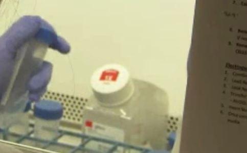 Scientists get new hope for HIV cure