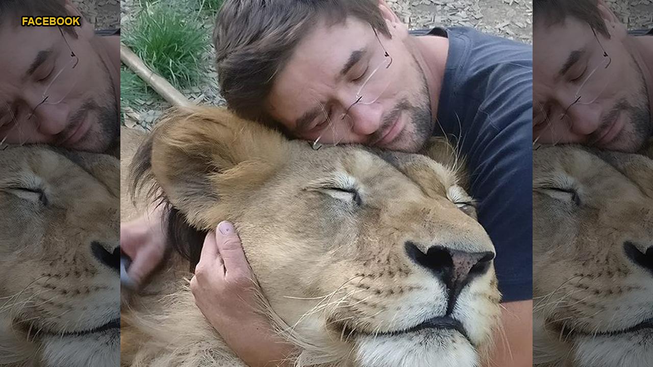 Man mauled to death by pet lion he kept in backyard