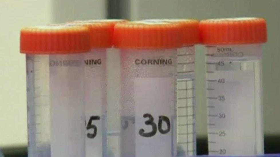 Doctors may have cured second man of HIV