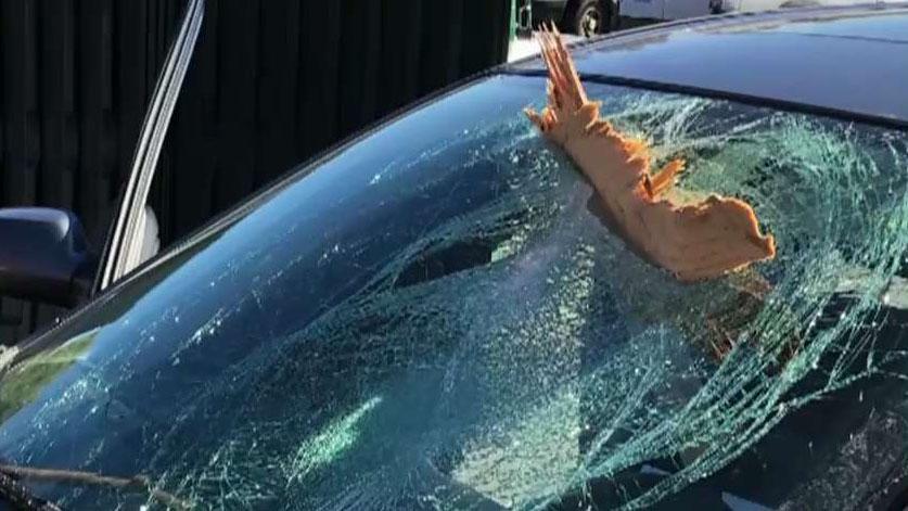 Lucky driver unscathed after plywood smashes through windshield