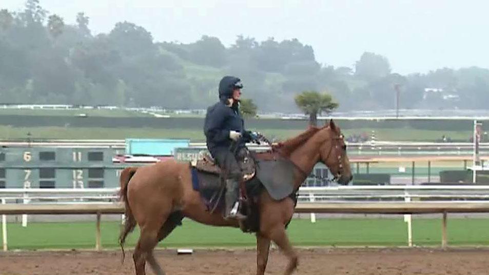 Santa Anita Park suspends racing indefinitely after 21st horse dies