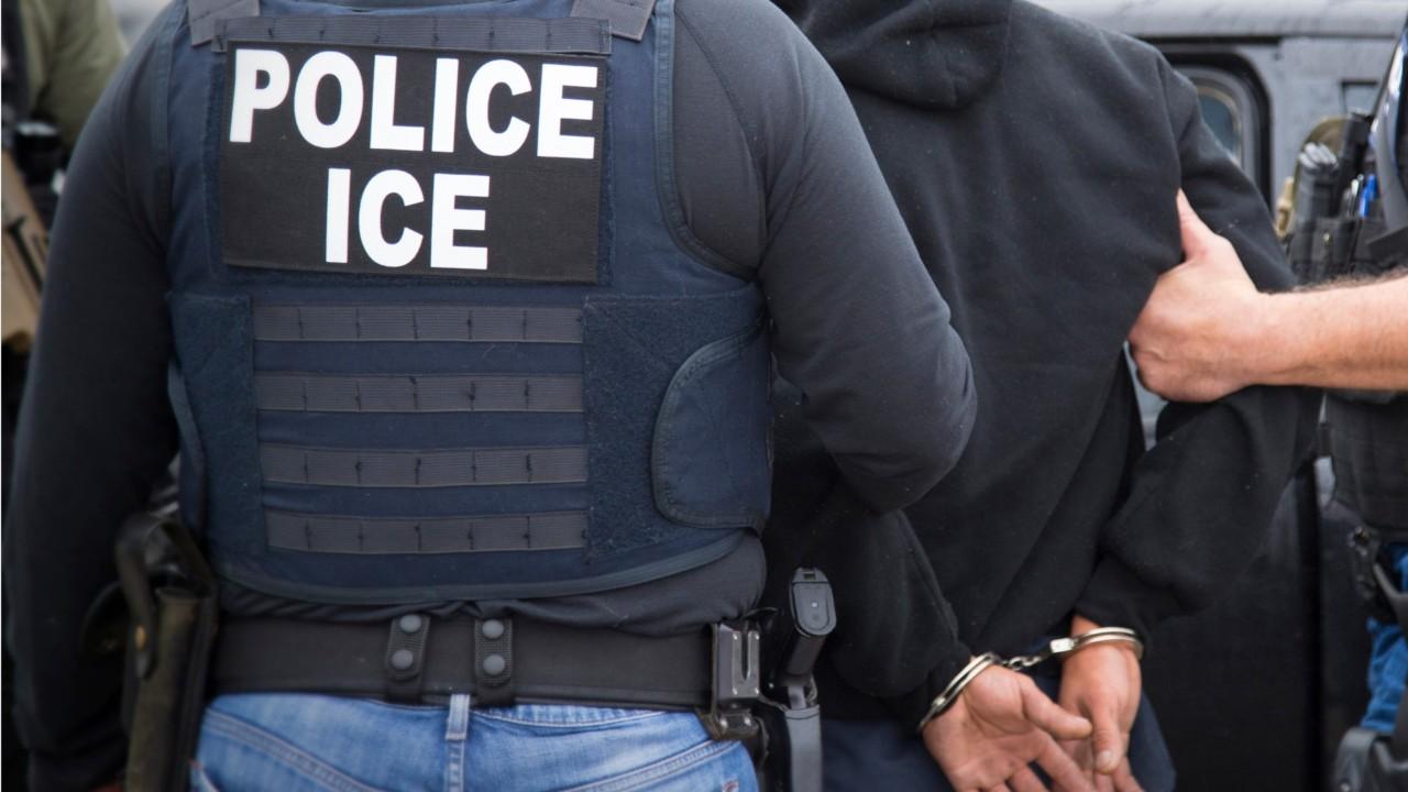 ICE makes more arrests at decoy university