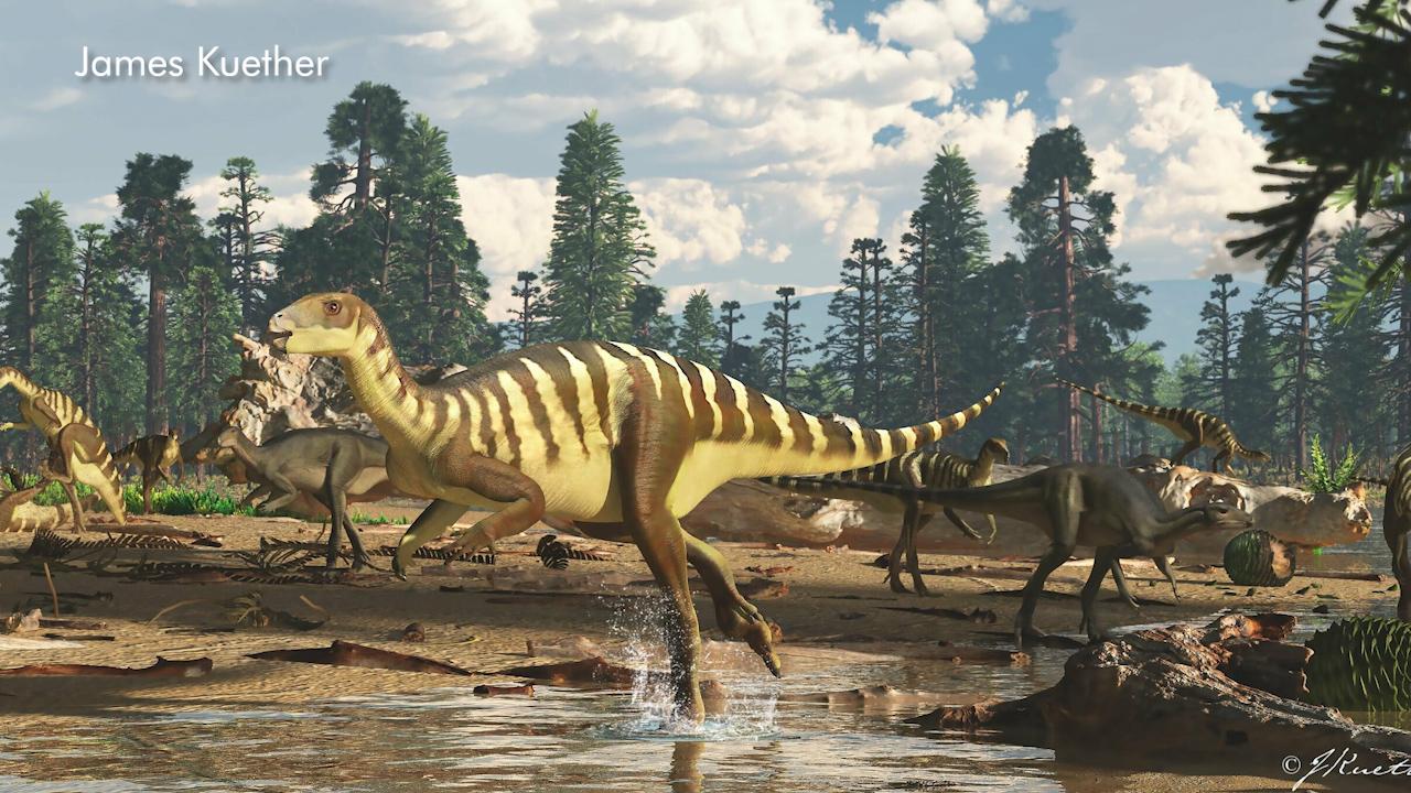 Fossil of small dinosaur discovered in Australia