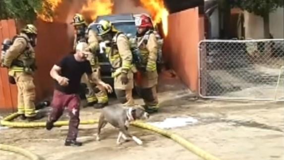 California man saves dog from burning house