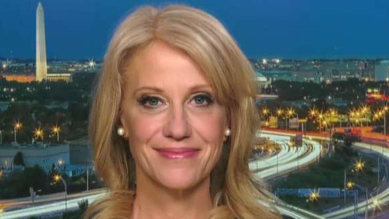 Kellyanne Conway: Courts and Congress failed to do their jobs on immigration for decades