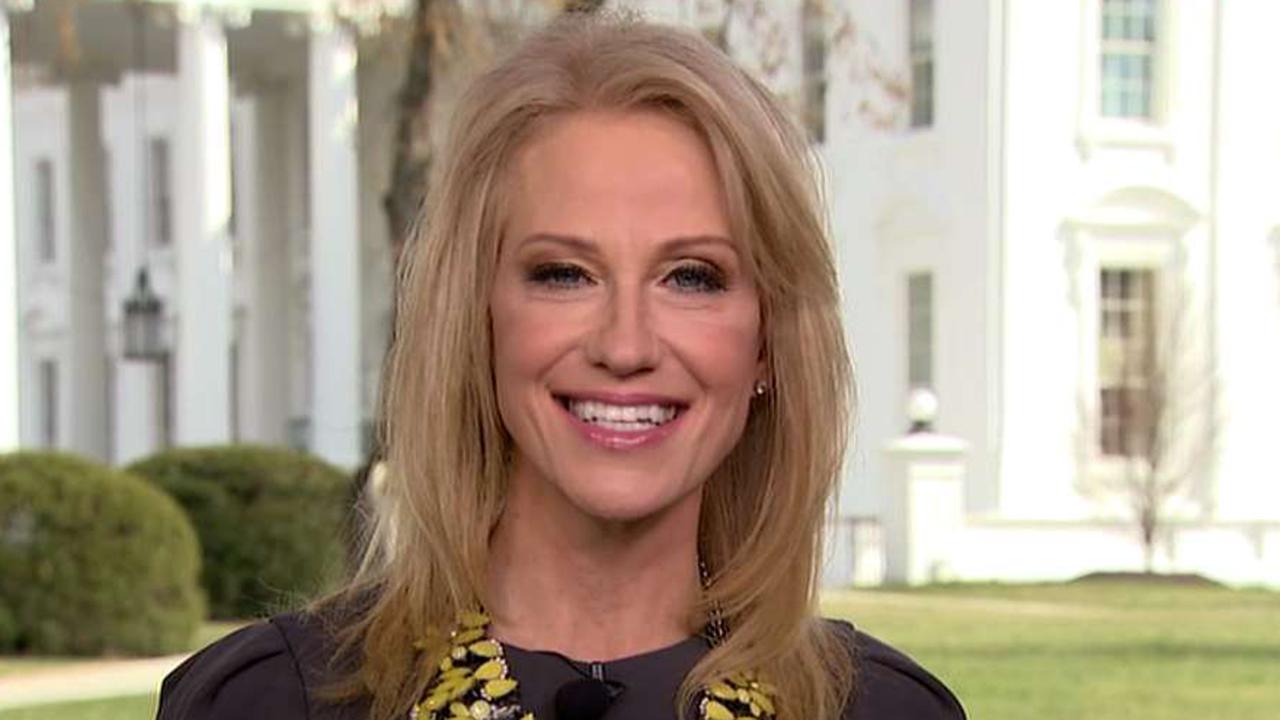 Kellyanne Conway to congress: Do your job and secure the border