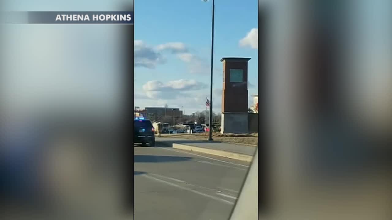 Raw video: Escaped cow roams the streets of Noblesville, Indiana