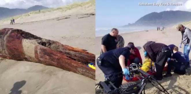 Officials say an Oregon woman was ‘crushed’ due to a sneaker wave