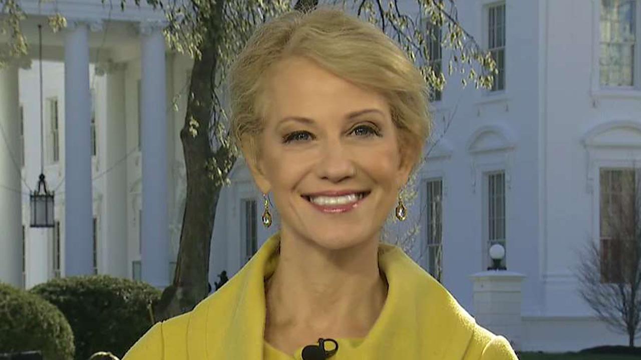 Kellyanne Conway calls for transparency and accountability on the origins of the Russia collusion probe