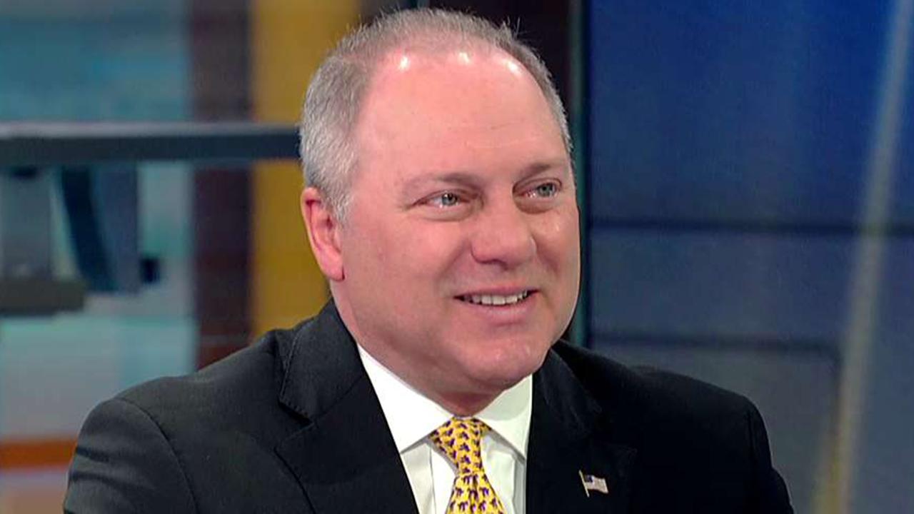 Rep. Steve Scalise reacts to the Democrat Party's 'radical' turn