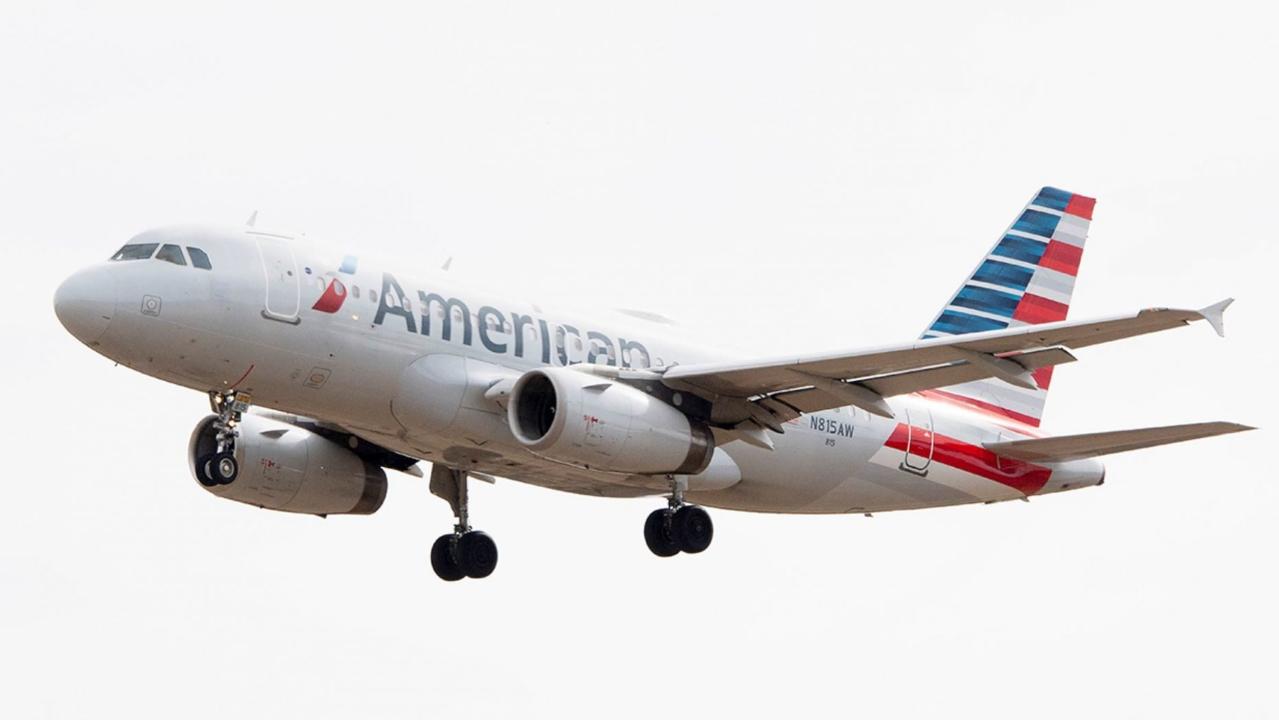 American Airlines flight forced to land after bird strike