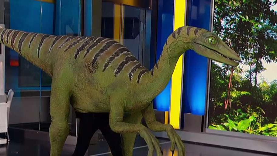 Jurassic World Live Tour makes first stop on 'Fox & Friends'