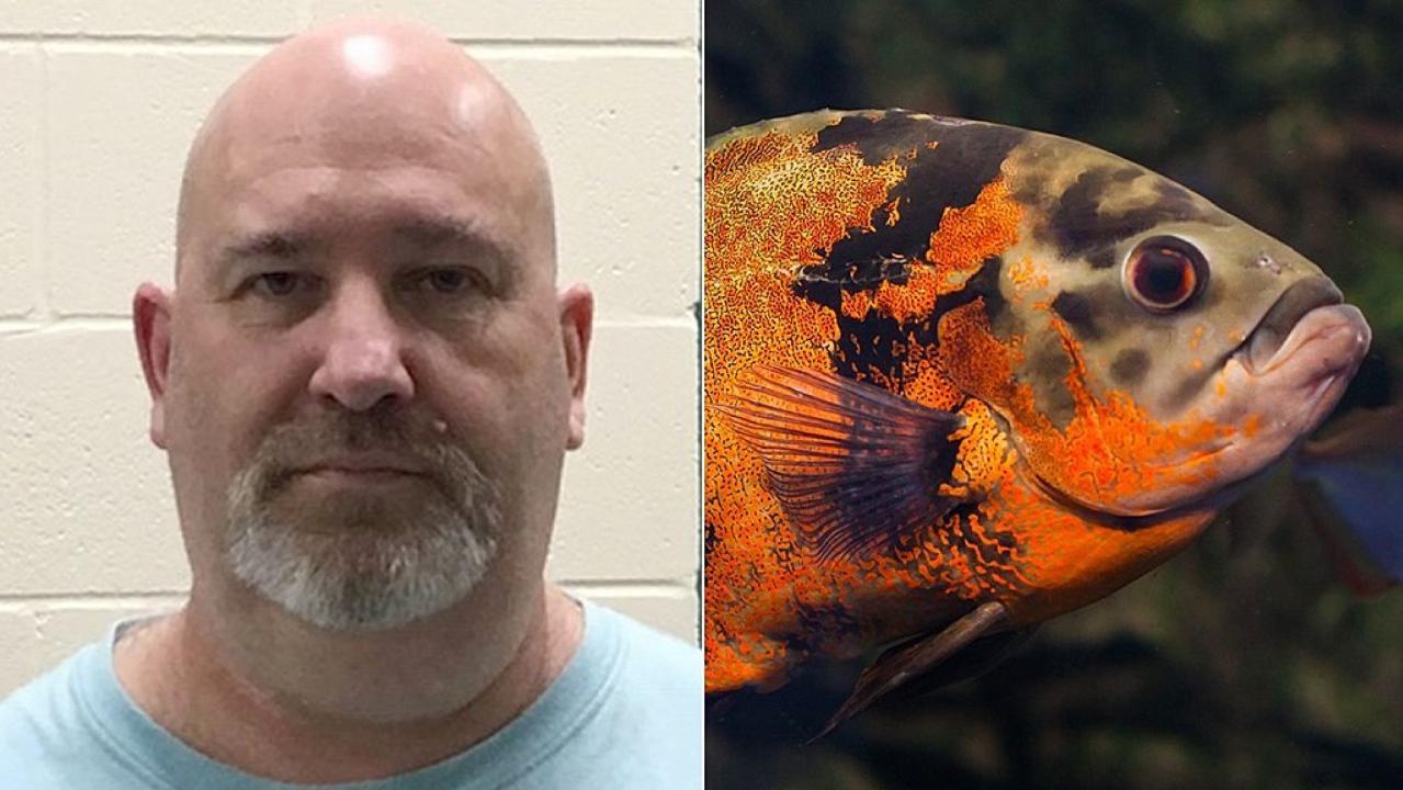 Man who abandons pet fish faces animal cruelty charges