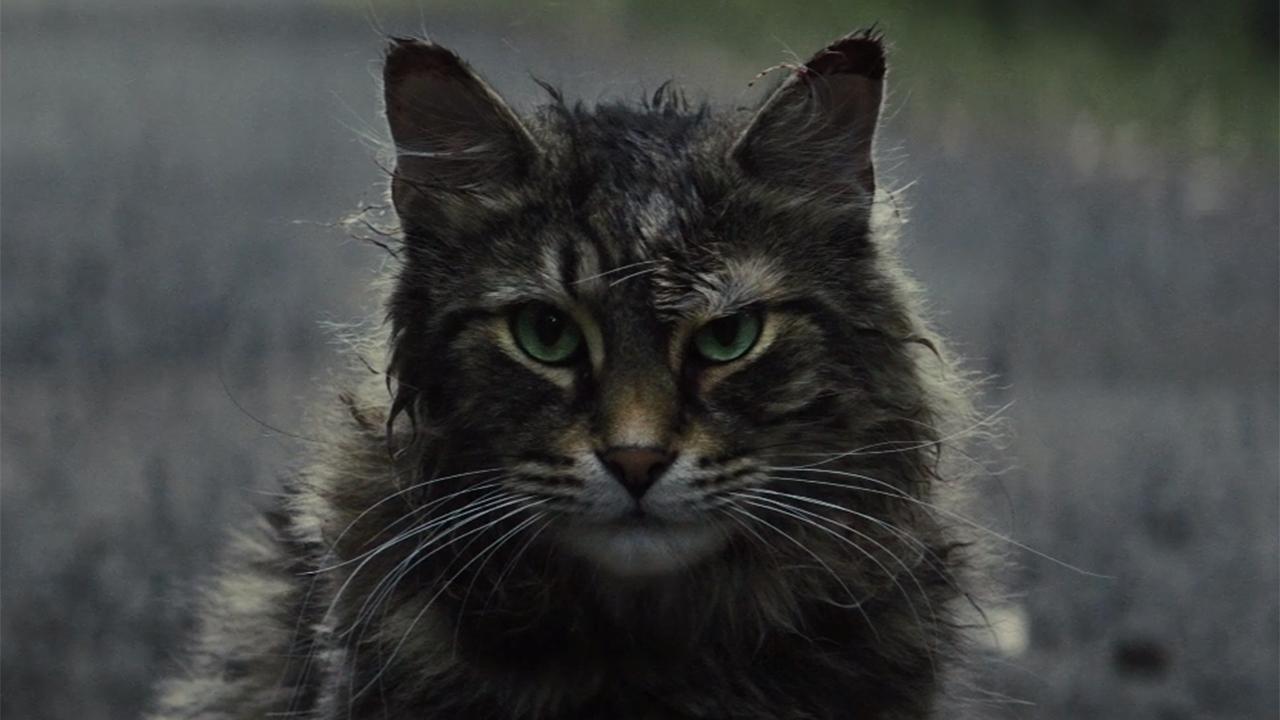 'Pet Sematary' reboot looks to scare audiences all over again
