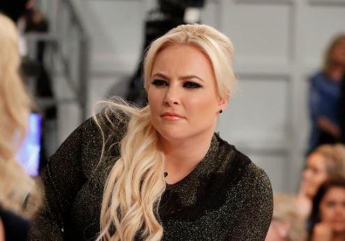 Meghan McCain slams ex-Clinton aide Adam Parkhomenko for mocking Mitch McConnell's fall