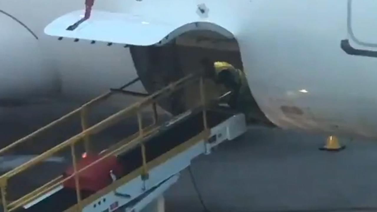 Baggage handler spotted doing push-ups in cargo of EasyJet plane