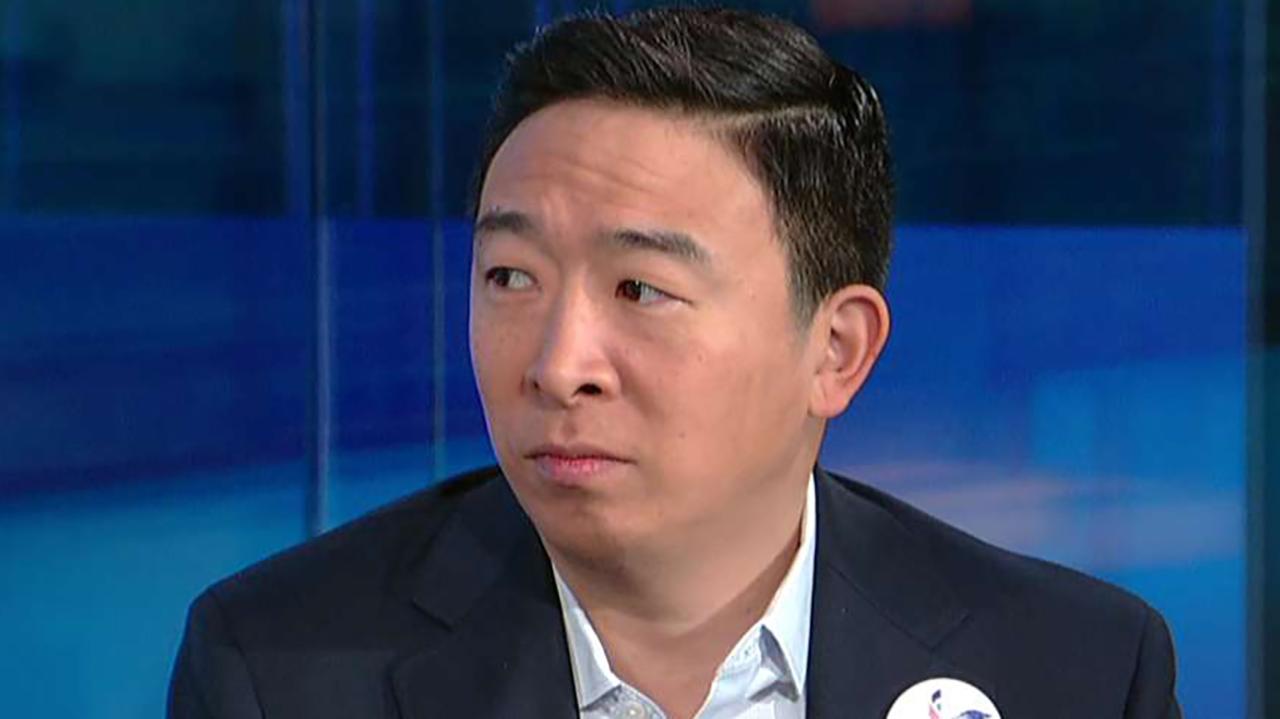 2020 Democrat presidential candidate Andrew Yang wants to give each American adult $12G a year