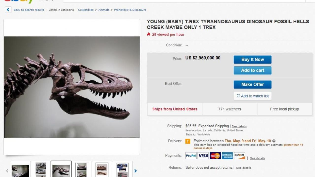  Rare baby T-Rex skeleton listed on eBay for $3M infuriates scientists