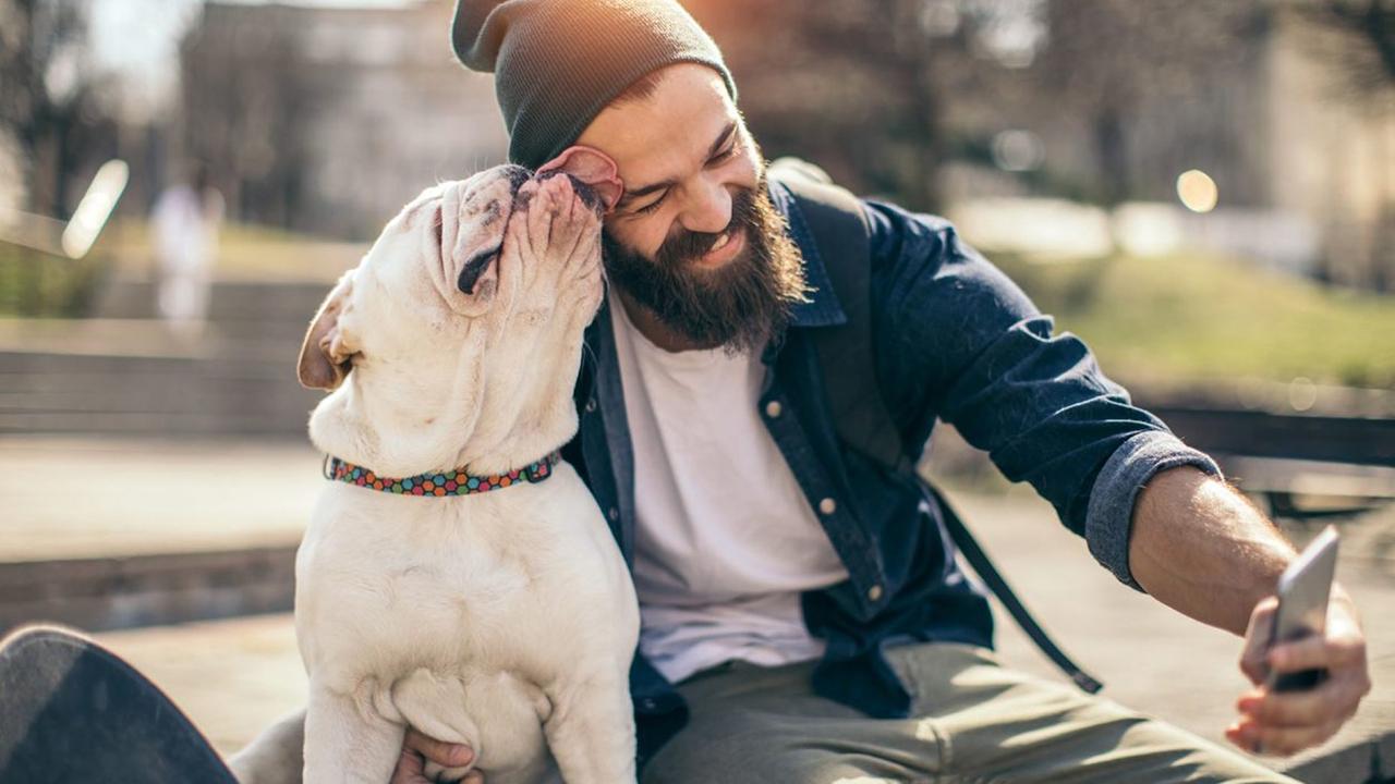 Study: Beards are dirtier than dog fur