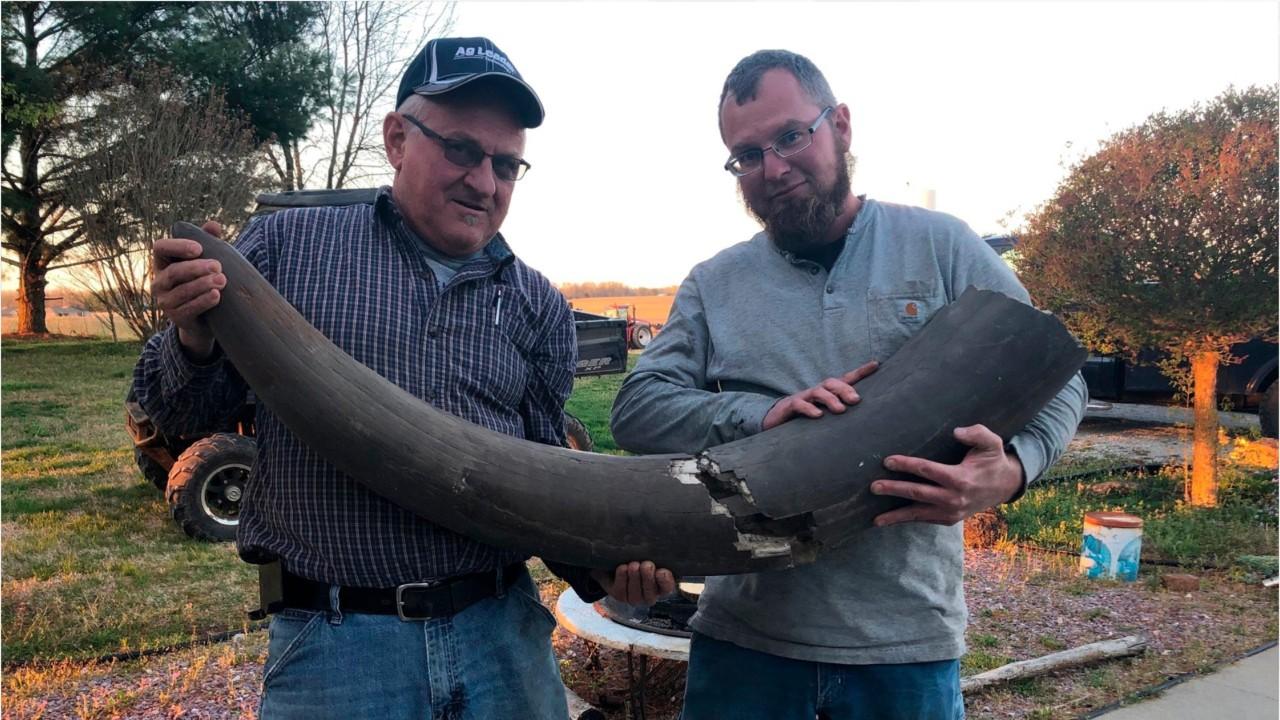 Workers make stunning discovery of mastodon bones while installing sewer on farm