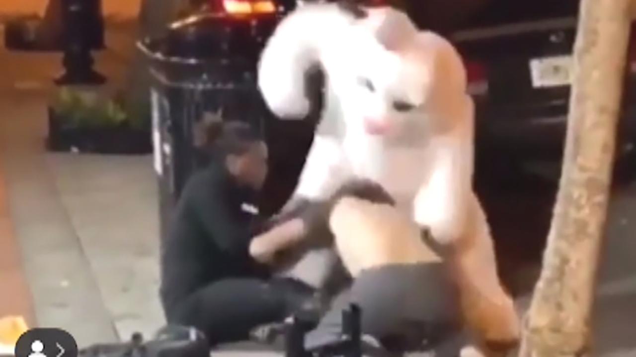 Man dressed in Easter bunny costume hops to the defense of woman in Florida brawl
