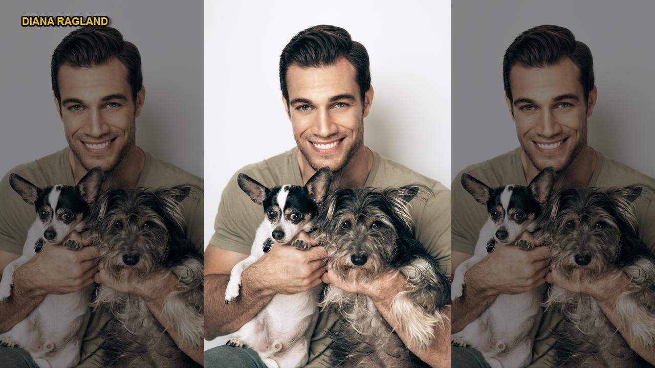 Animal Planet star Dr. Evan Antin talks his new show, tips for pet safety