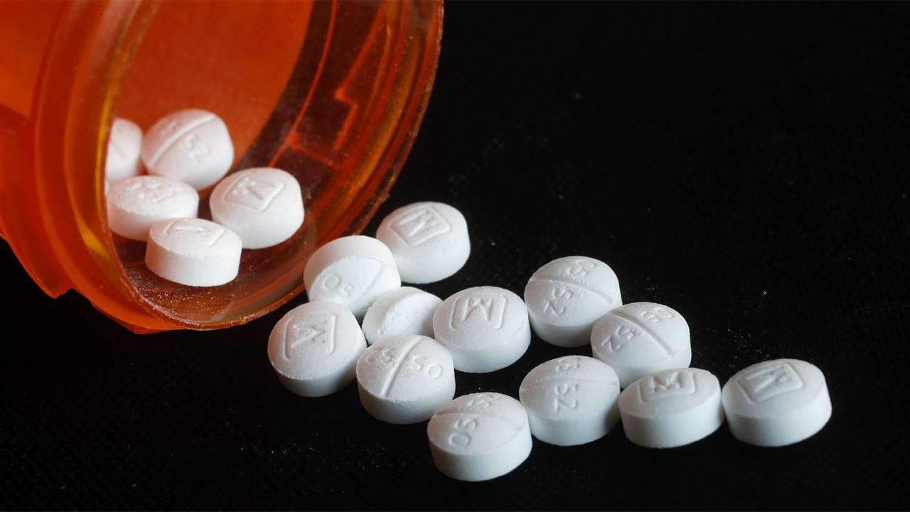 States devastated by opioid crisis pushi to hold drug companies accountable