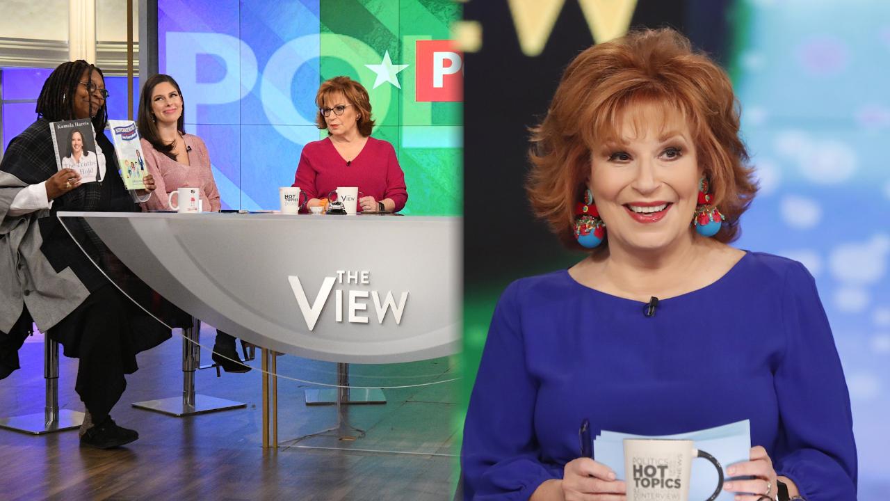Has 'The View' co-host Joy Behar gone too far?