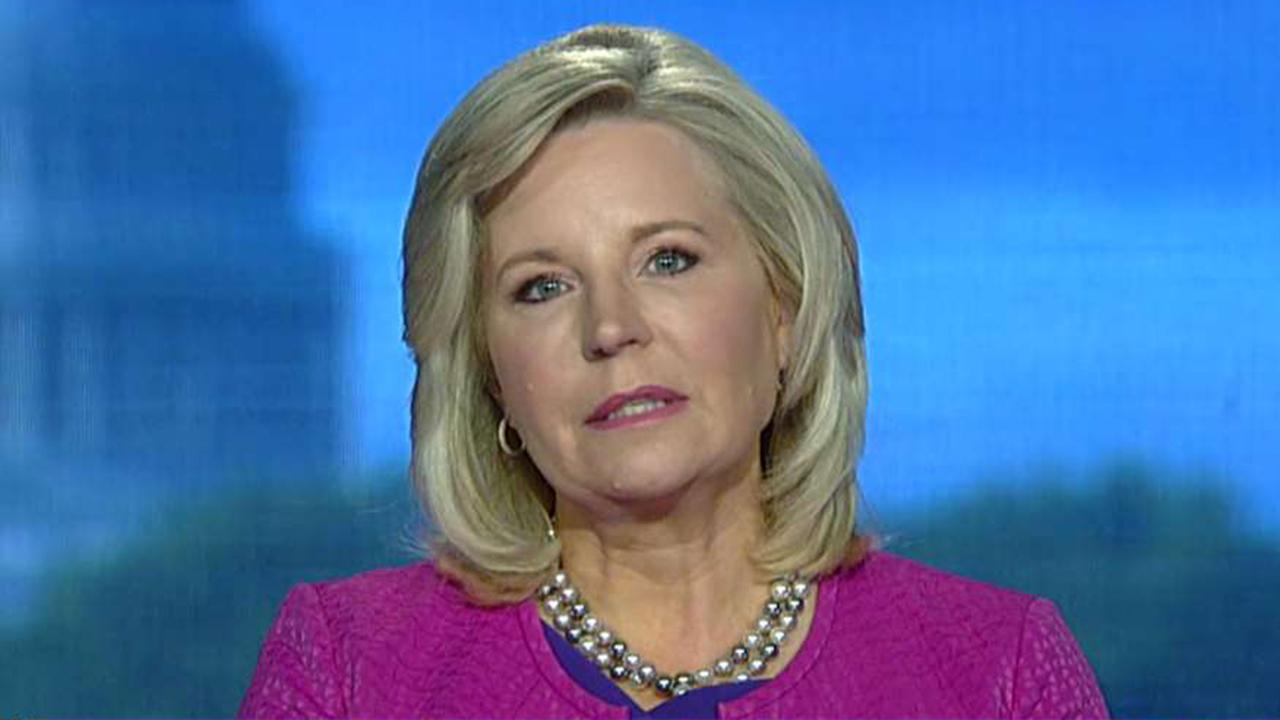 Liz Cheney blasts Democrats after Tlaib remarks: 'It's absolutely despicable and it's got to stop'