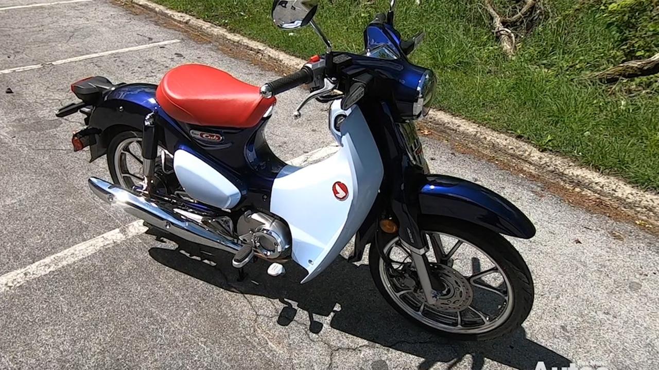 2019 super clearance cub