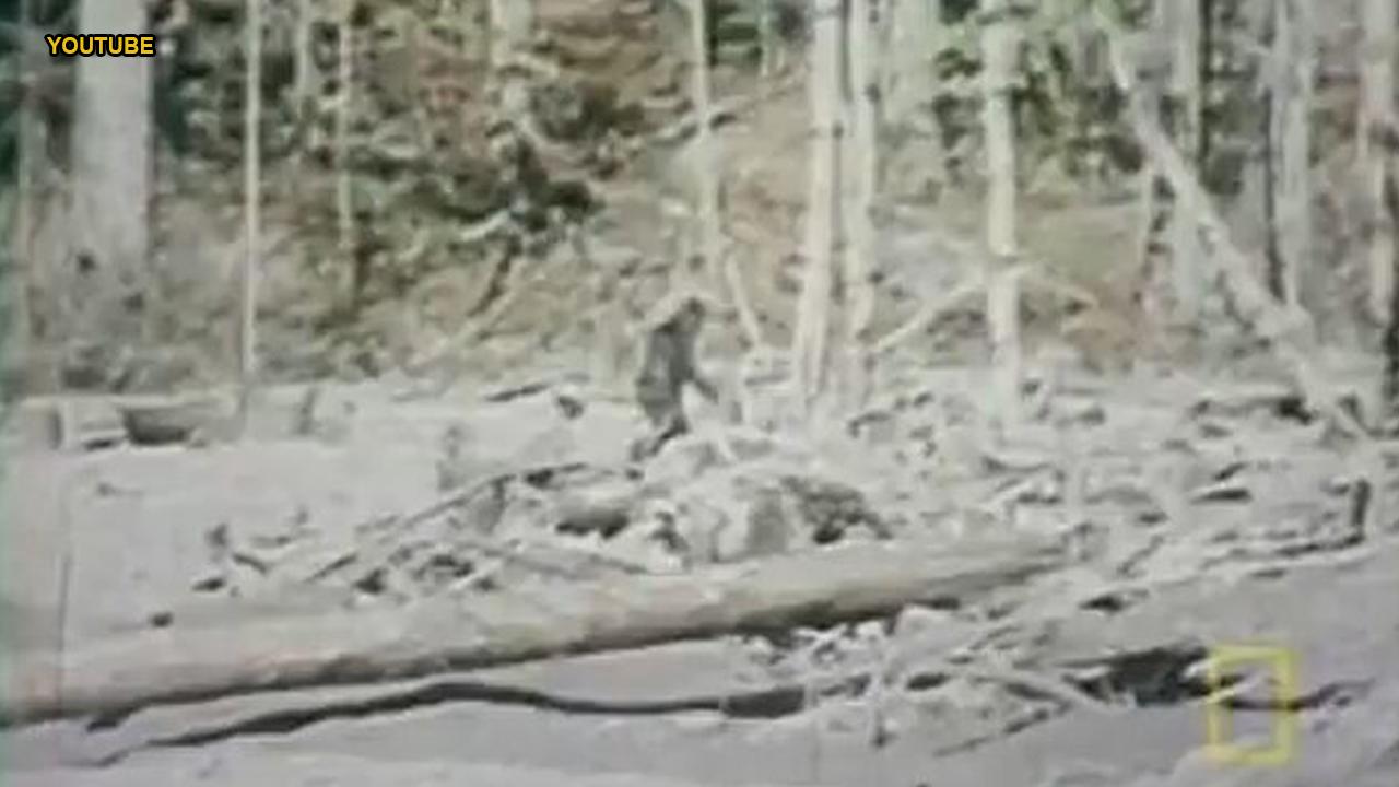 The US states with the most frequent Bigfoot sightings